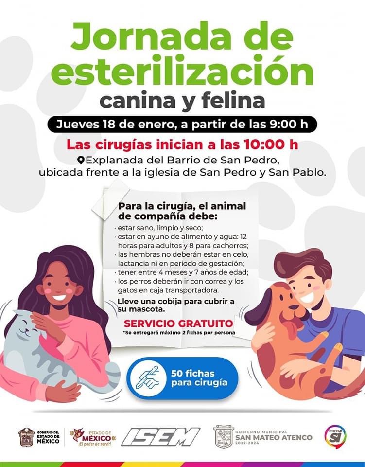 Inician Jornadas De Esterilizaci N Canina Y Felina En San Mateo Atenco