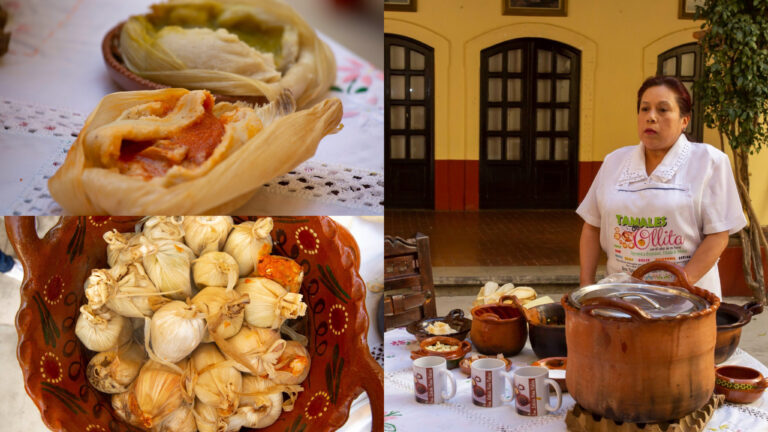 Tamales De Ollita, Distintivo Culinario De Ocoyoacac - Primero Editores